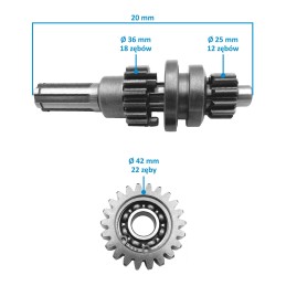 SKRZYNIA BIEGÓW 1+1 QUAD ATV 110 125  ID343