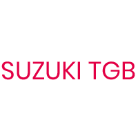 SUZUKI TGB