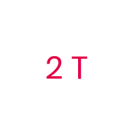 2 T