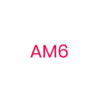 AM6